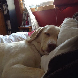 Meet your Posher, Susan